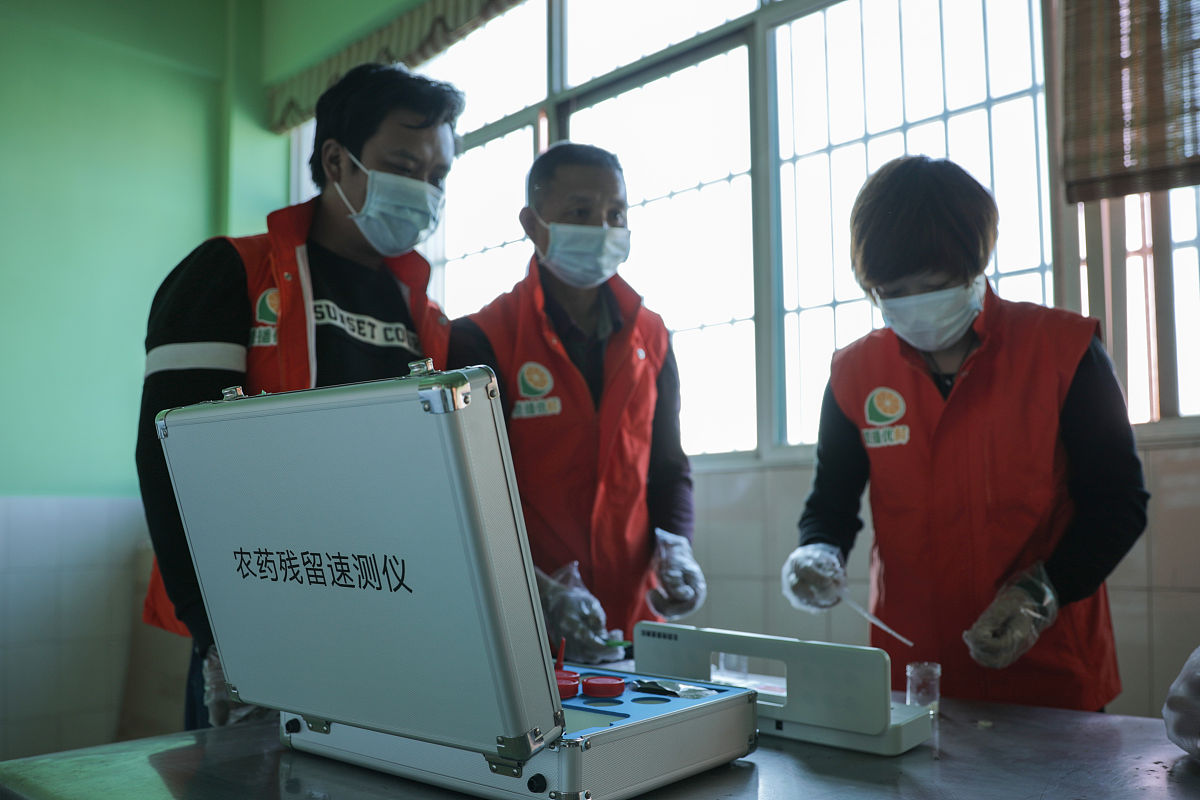 样本率的抽样分布：理解重复抽样中的数据变异