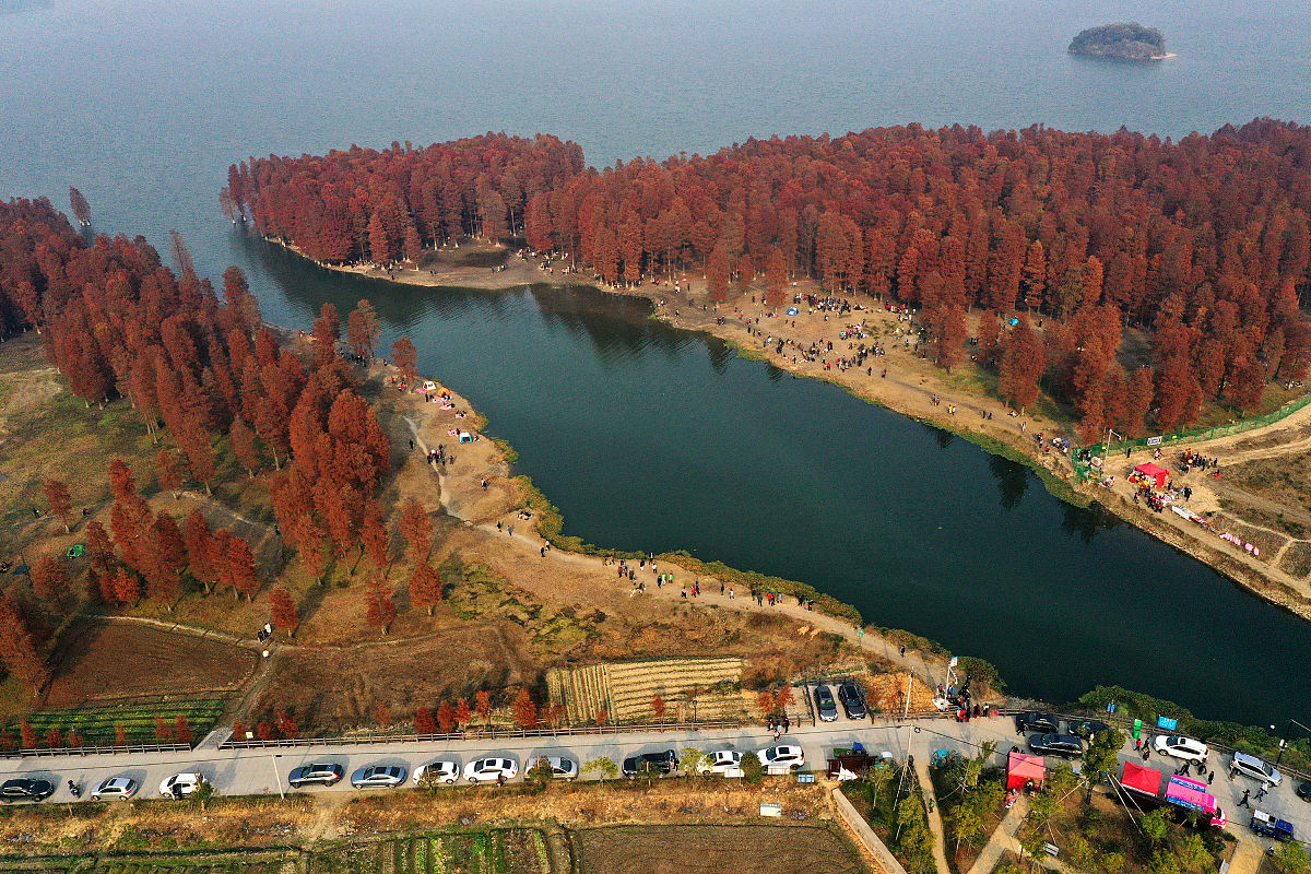 2019 浙江省国家级示范中职中专学校名单 - 优质职业教育的选择