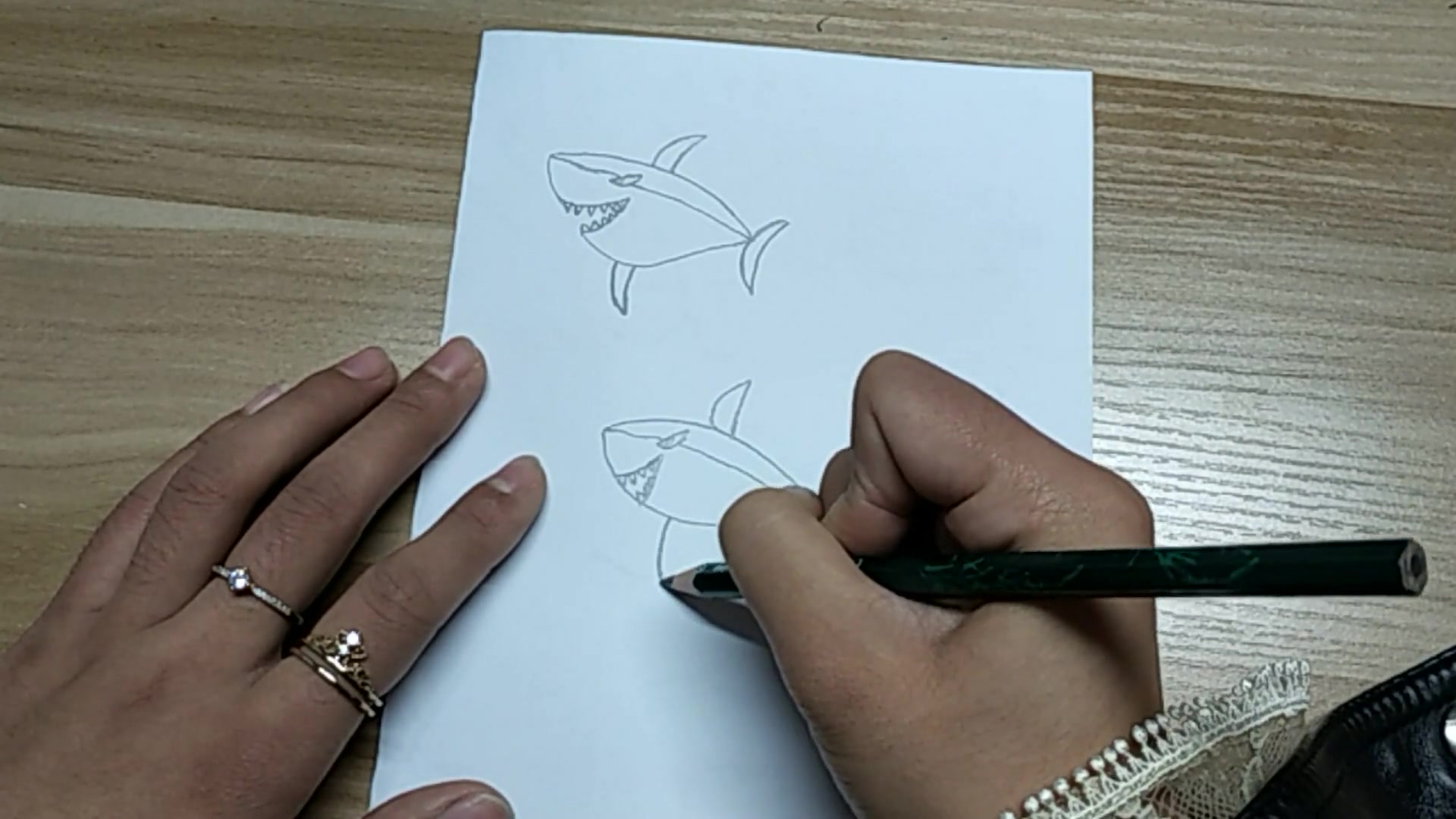 简笔画:大鲨鱼的画法,只要用心,没有手残党