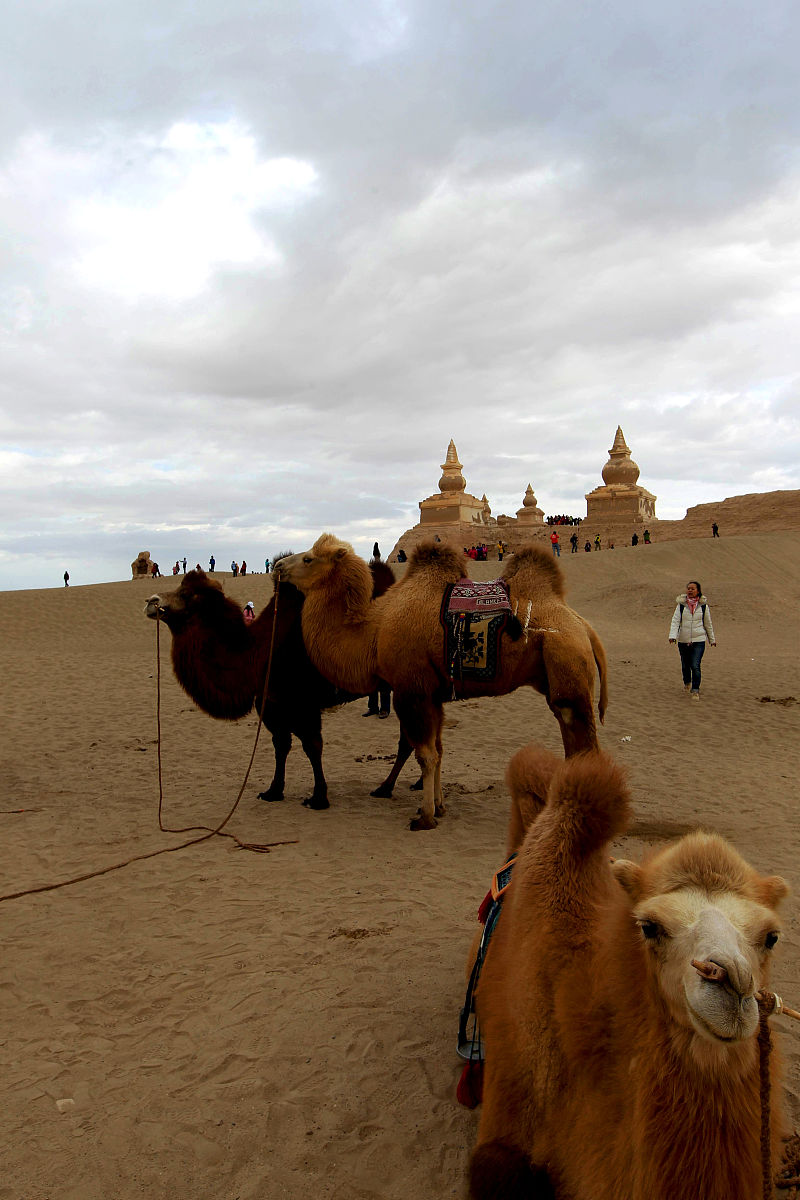 面积相同的长方形，周长也相同吗？