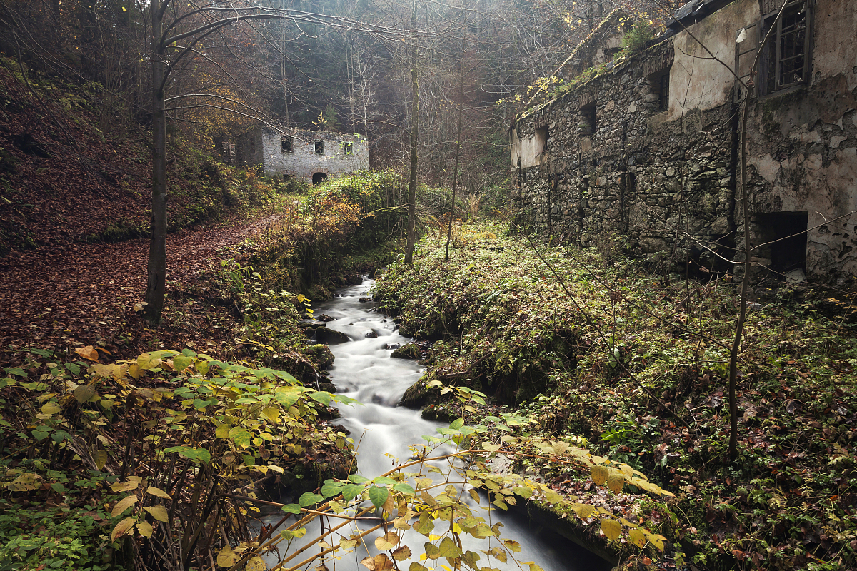 阿诺德渲染器怎么贴图