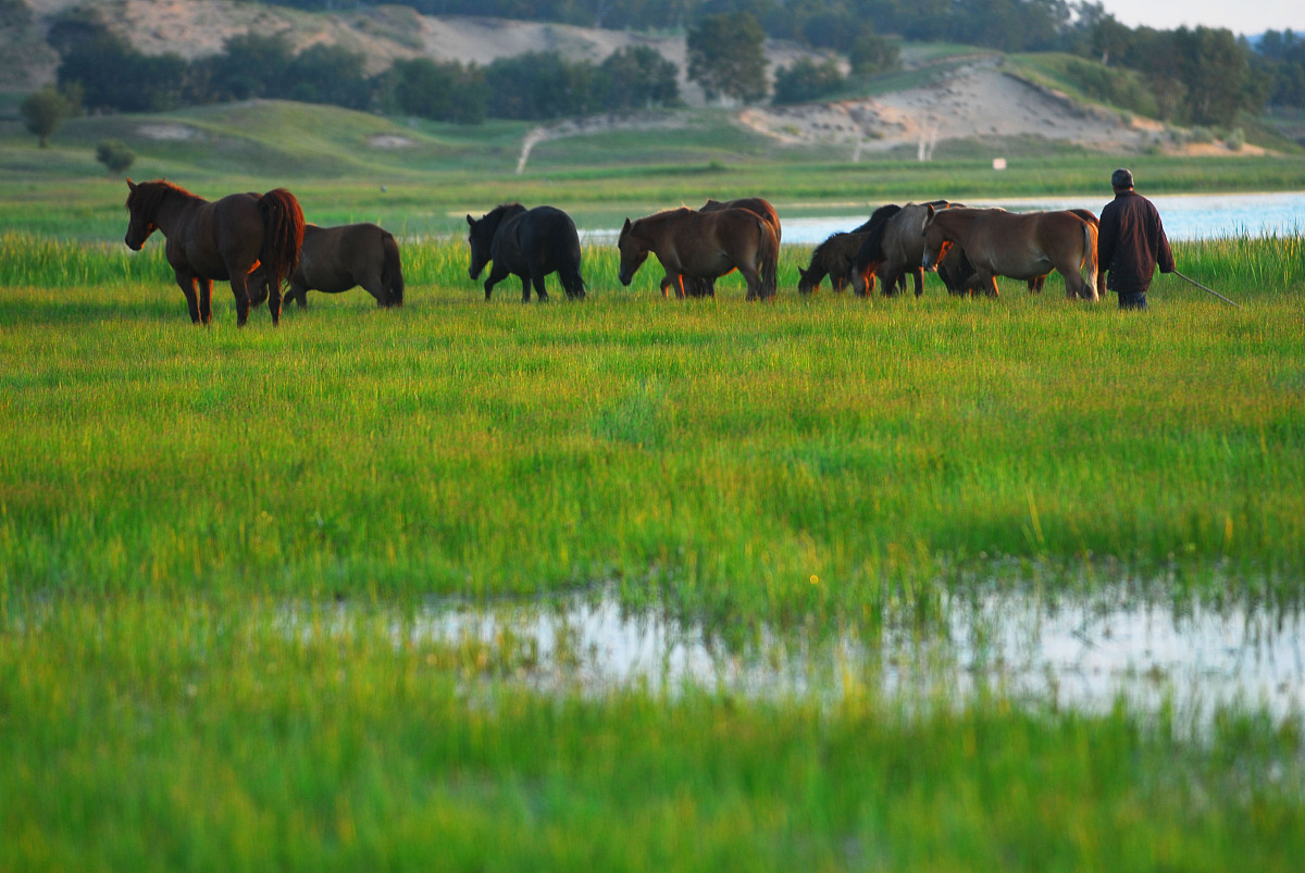 福建农林大学林学专业怎么样？就业前景、发展方向及优势解析