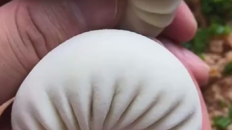 慢动作教你包好看又好吃的包子,简单易上手,新手学一次也能成功