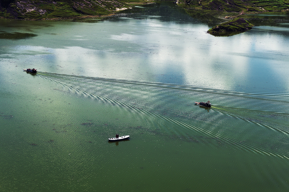 重庆七中中考升学率：95%以上，名校录取率高，全面发展培养未来精英