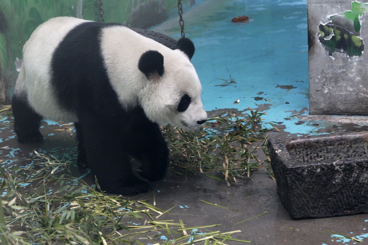 2021年云南林业技工学校三年制招生简章 - 报名条件、计划、方式