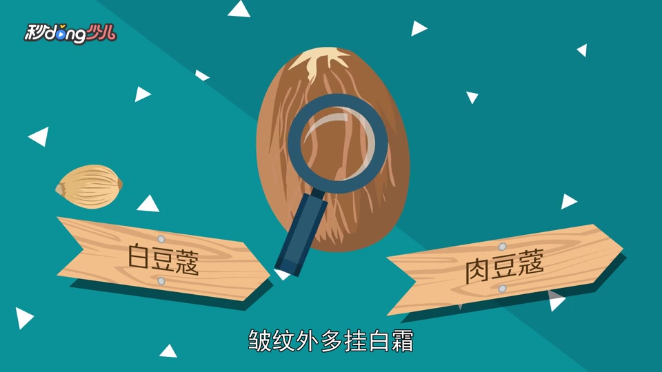「秒懂少儿」肉豆蔻和豆蔻的区别