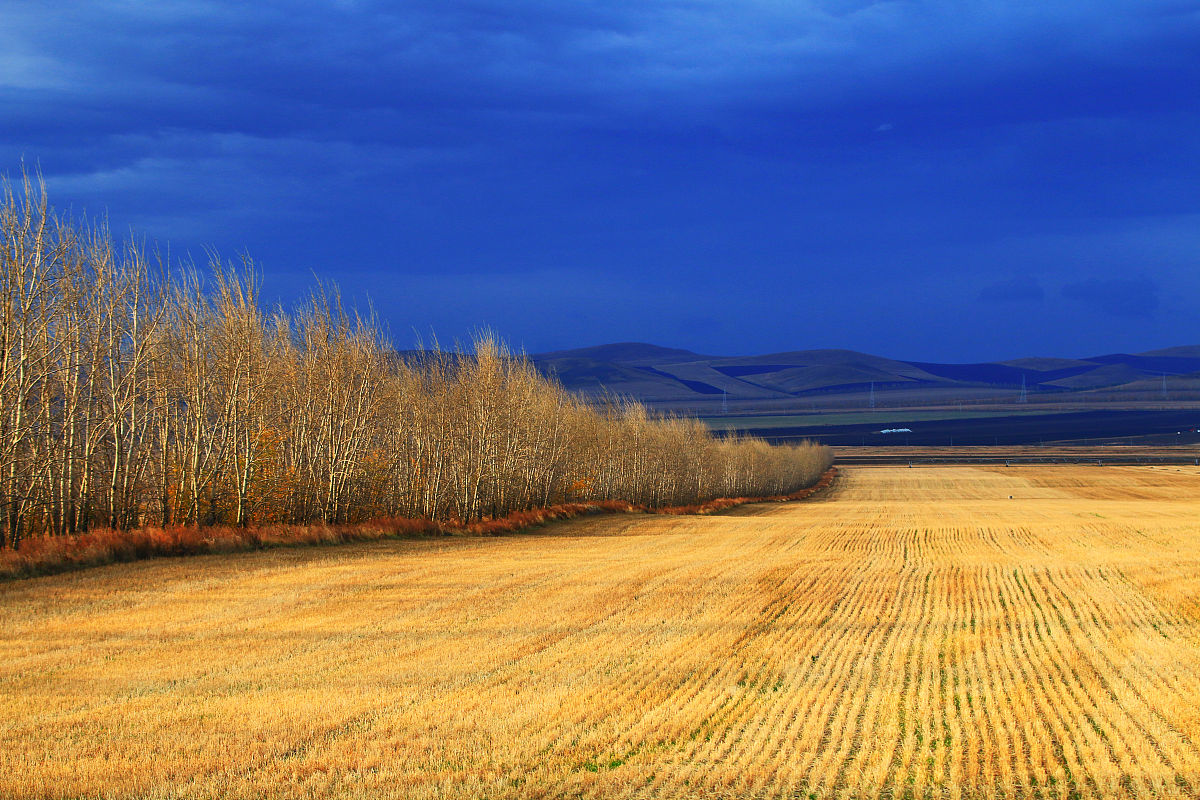 田野童趣：回忆农村快乐时光的诗歌