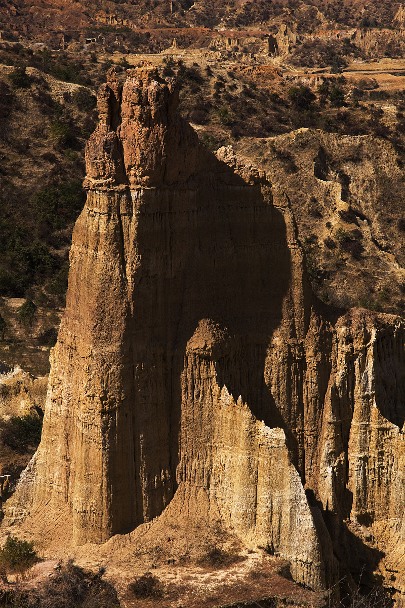 楚雄彝族自治州物业证书怎么报名？证书需要多少费用？ 写一篇400只文案查询写一篇