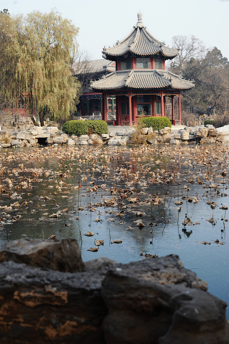保定媒体曝光求助热线电话：如何联系？