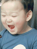 內地版《淑女品格》像小時代，港版的她們才是真正的精英女