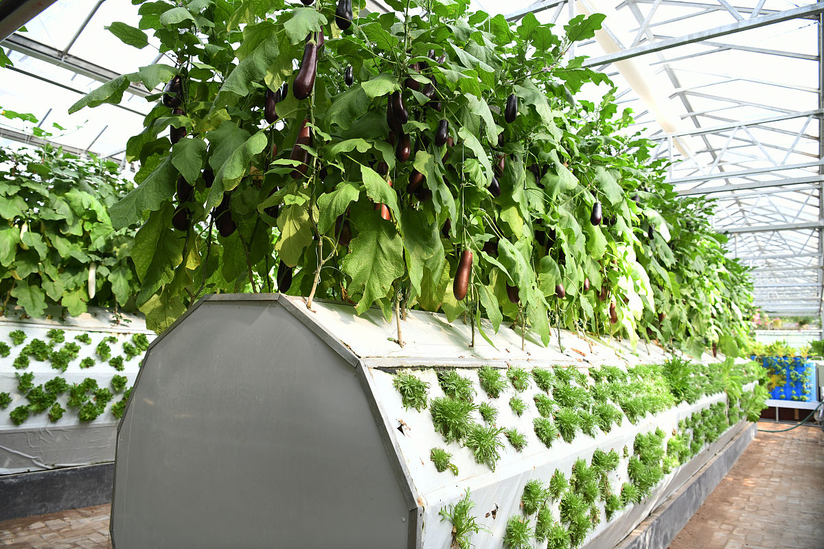 潍坊科技工程学校毕业生就业率基本情况