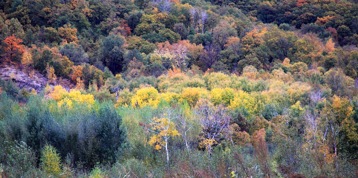 黑龙江三江美术职业学院单招有药剂专业吗？