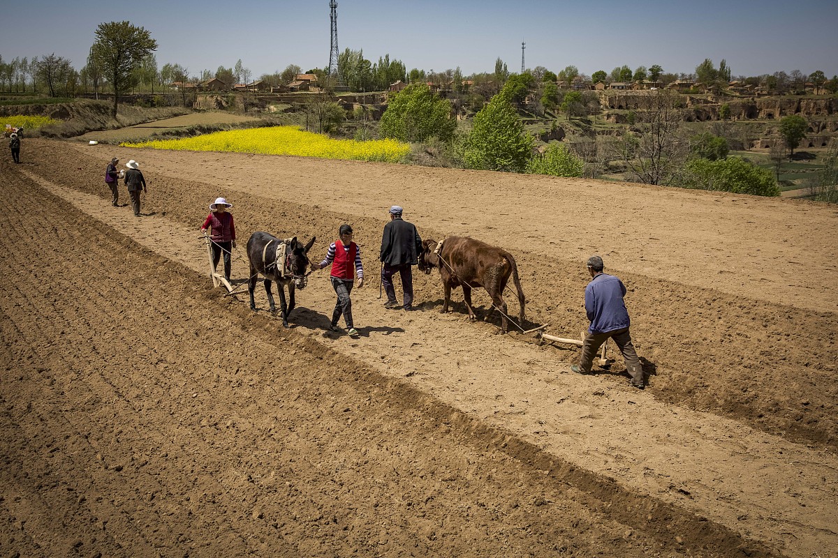 用恒古 默契 田垄 埋葬 土壤 丰饶写一段30个字的话