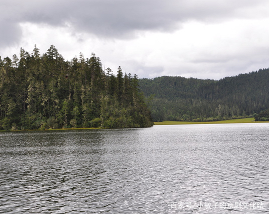 碧塔海自然保护区,位于云南省中甸县东部,云南