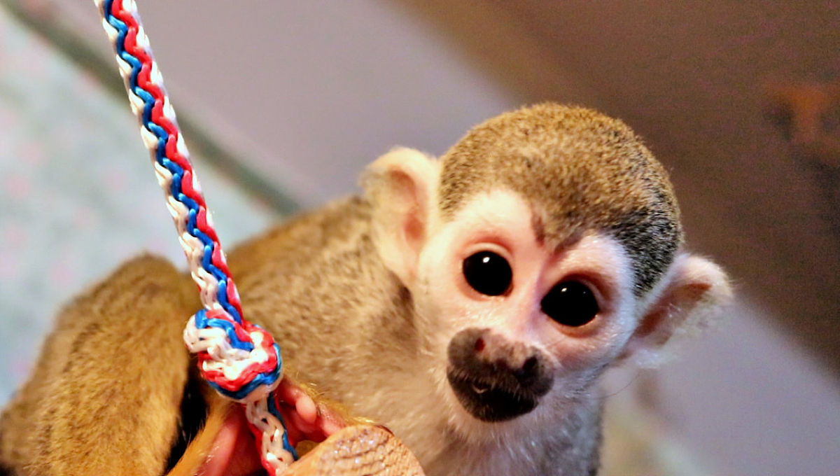 心理咨询初诊接待对话案例：焦虑、失眠、压力，如何寻求帮助？