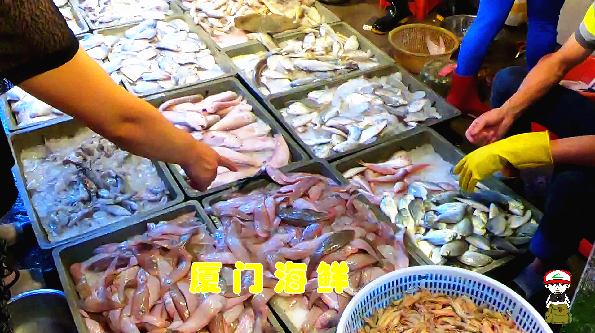 实拍厦门有名的海鲜市场,价格便宜吗?网友:猪肉太贵不如吃海鲜