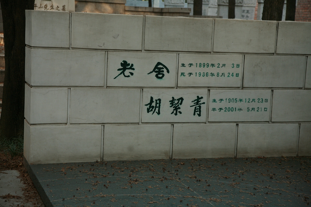 如何开始写小说？新手入门指南