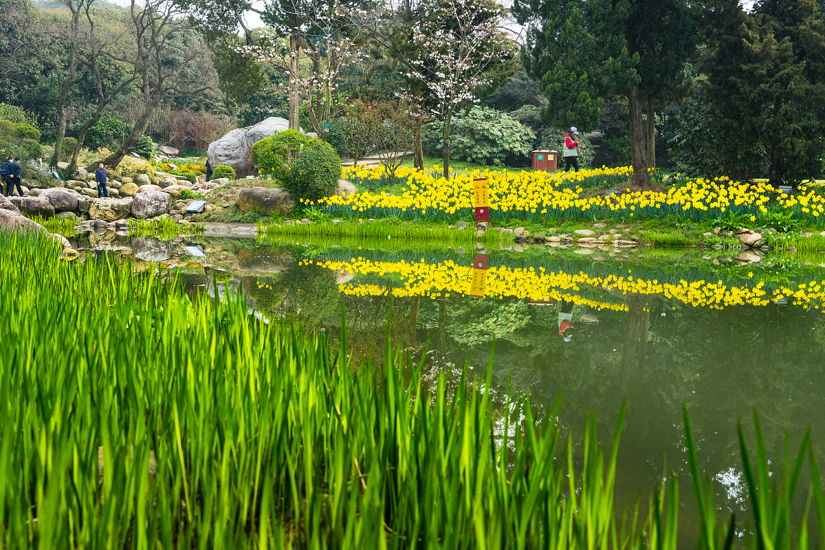 发现城市的美丽 写一篇300字小学作文