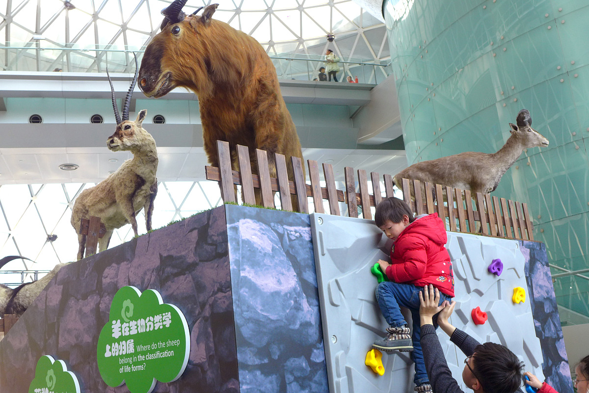 生肖羊：性格特点、事业爱情解析