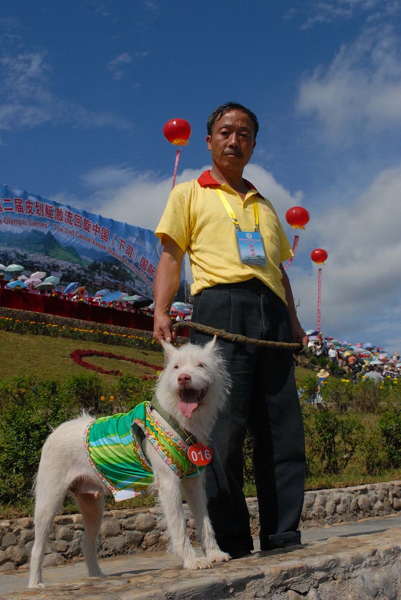 8月3日,一养犬爱好者在开幕式上展示的世界名犬麻江下司犬.