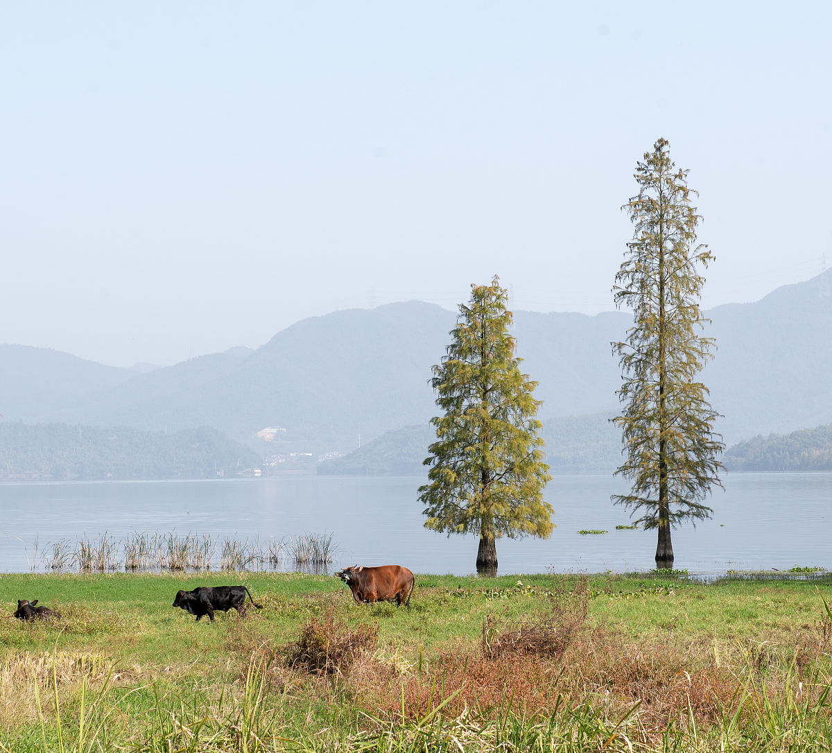 宁波四明职业高级中学怎么样？值得选择吗？