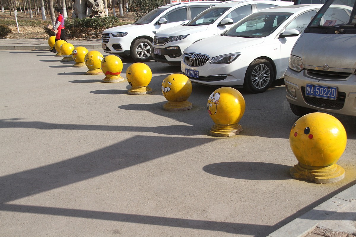 校园甜宠文：篮球队长与文艺女神的恋爱故事