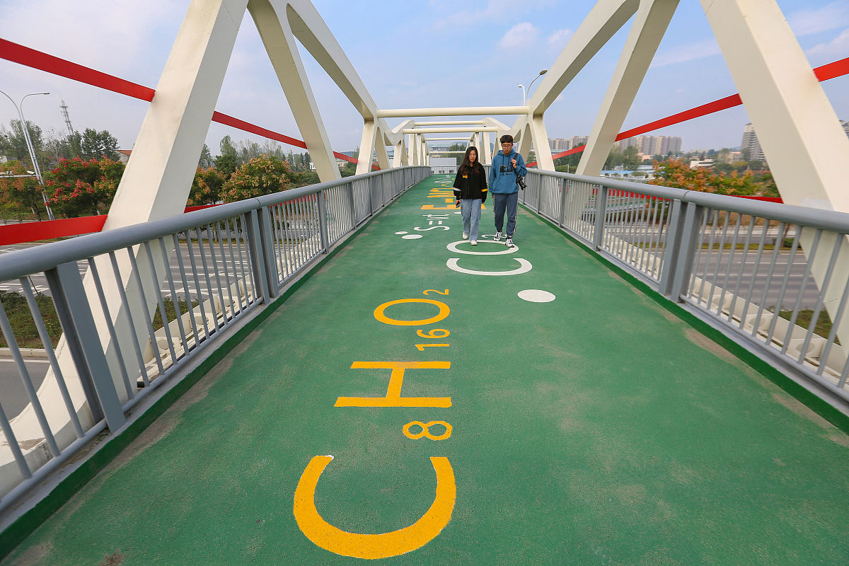 五门指哪五门，