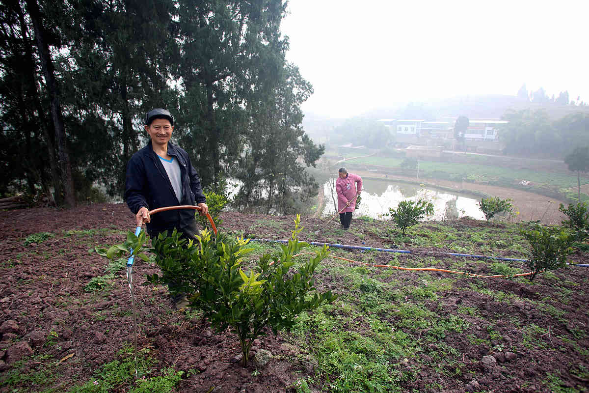 成都职业学校计算机应用专业就业前景分析
