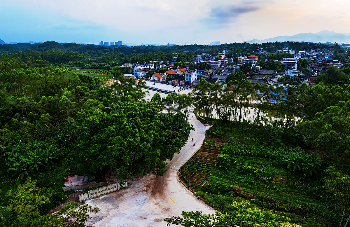 广西玉林财经学校广告设计专业怎么样好就业吗