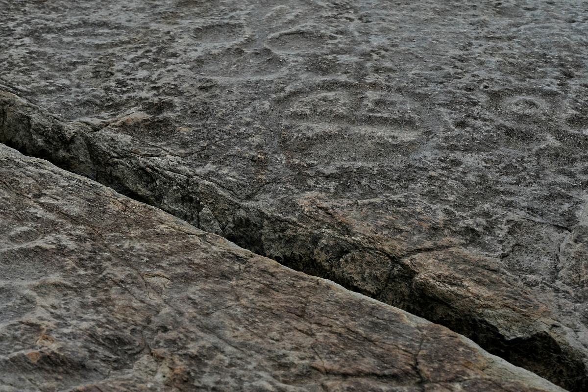 外国势力对中国近现代史的影响与反应：1840年至今