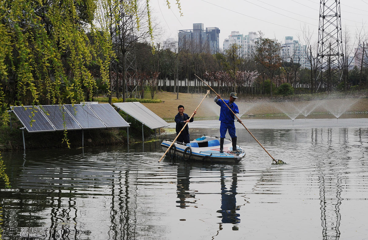 水中溶解氧的变化