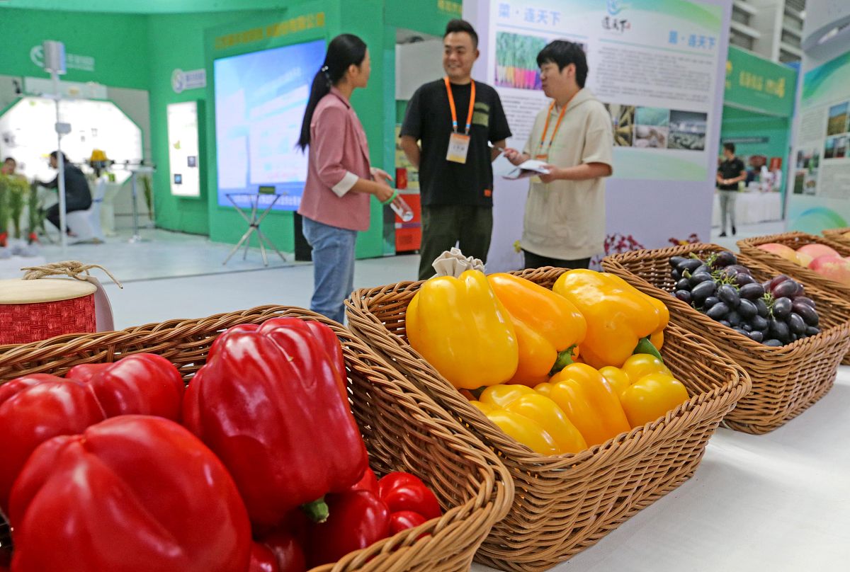 山东寿光果蔬提不了现怎么举报