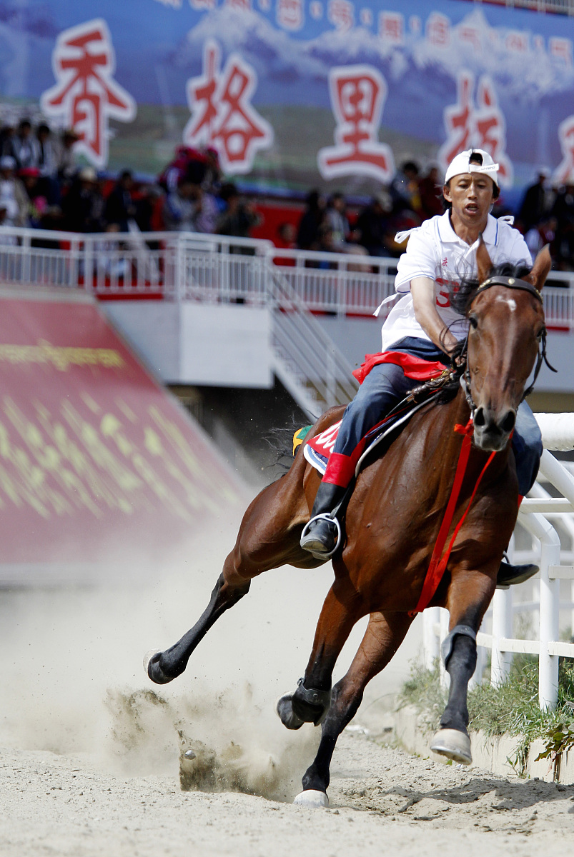 2023滨州市体育运动学校招生专业及相关信息