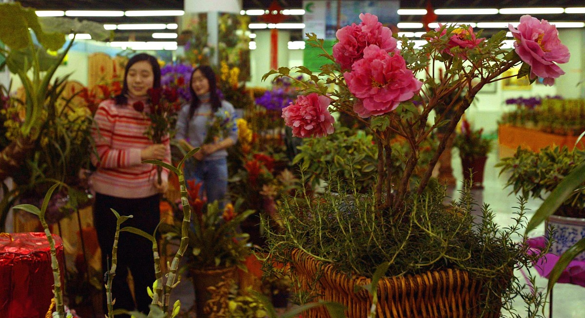 2005年1月31日,在上海农展馆各种好看的精品花卉汇聚一起,为喜迎新春