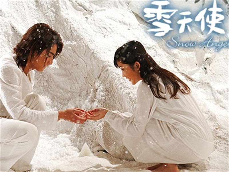 是台湾三立电视台于2004年制作的电视剧