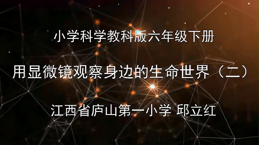 [图]六年级科学(下)《用显微镜观察身边的生命世界二》教学视频