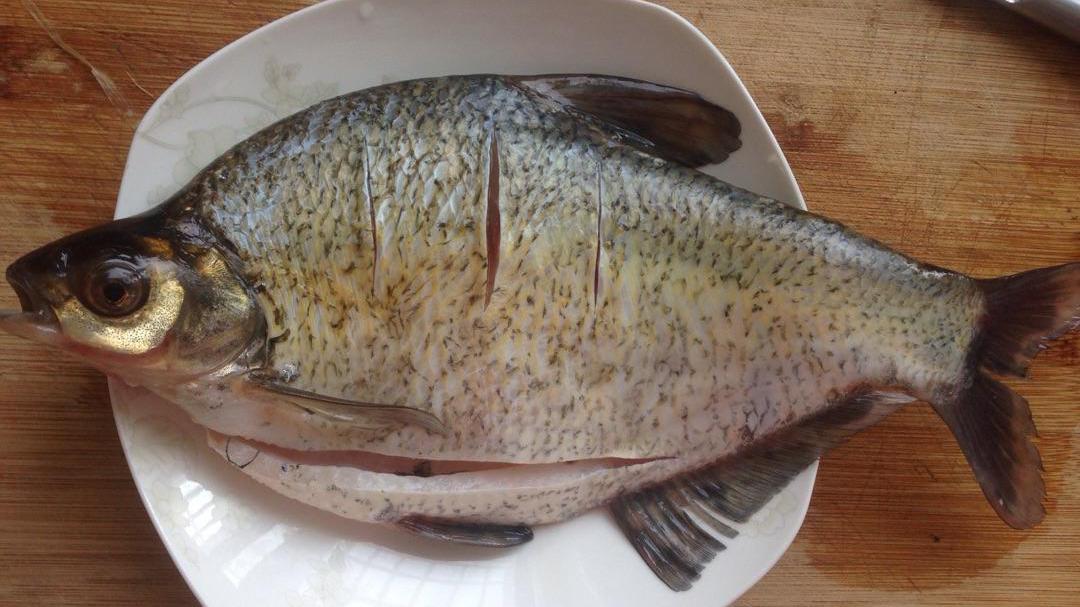 一分钟了解鳊鱼