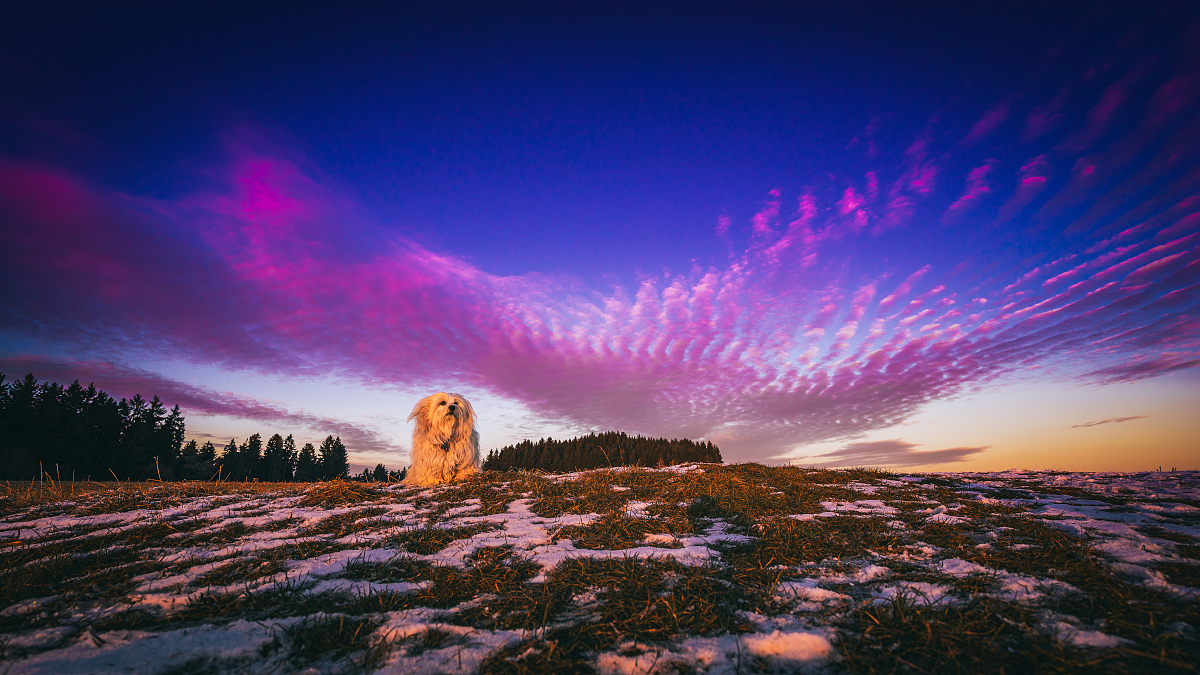 写一个天幕的视频文案
