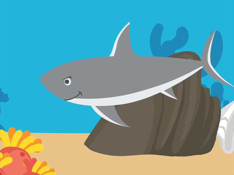 鲨鱼“温柔”的一面