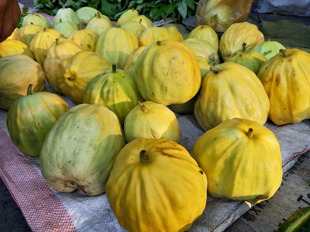 葡萄为什么那么甜 为什么葡萄那么甜