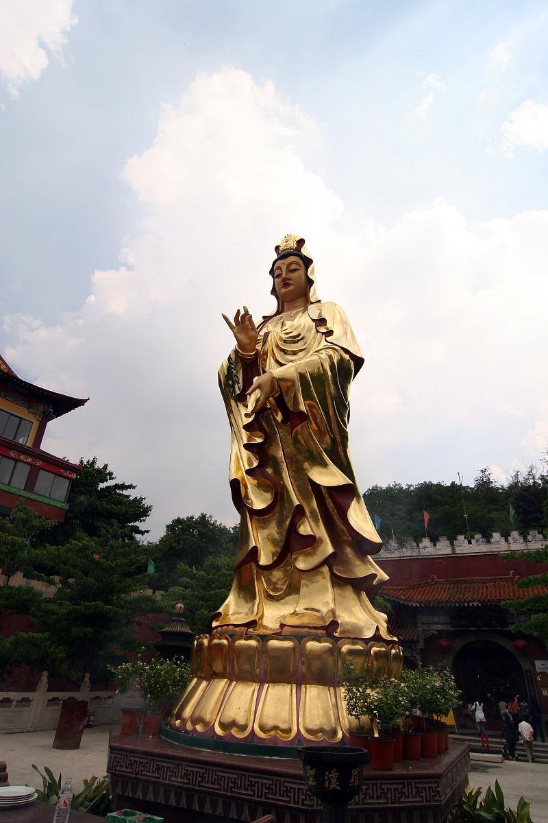 伞度我，我度自己：一个关于求己的佛学故事