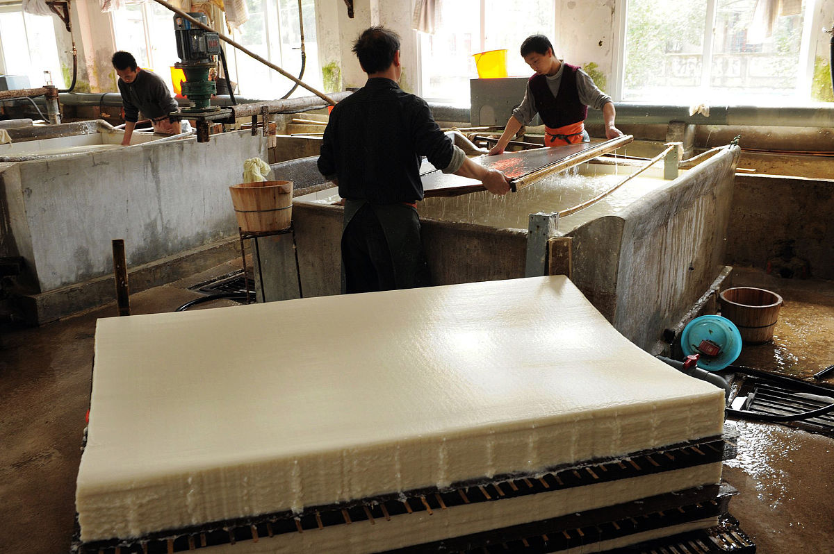 制浆造纸工艺学习指南：必修课程解析