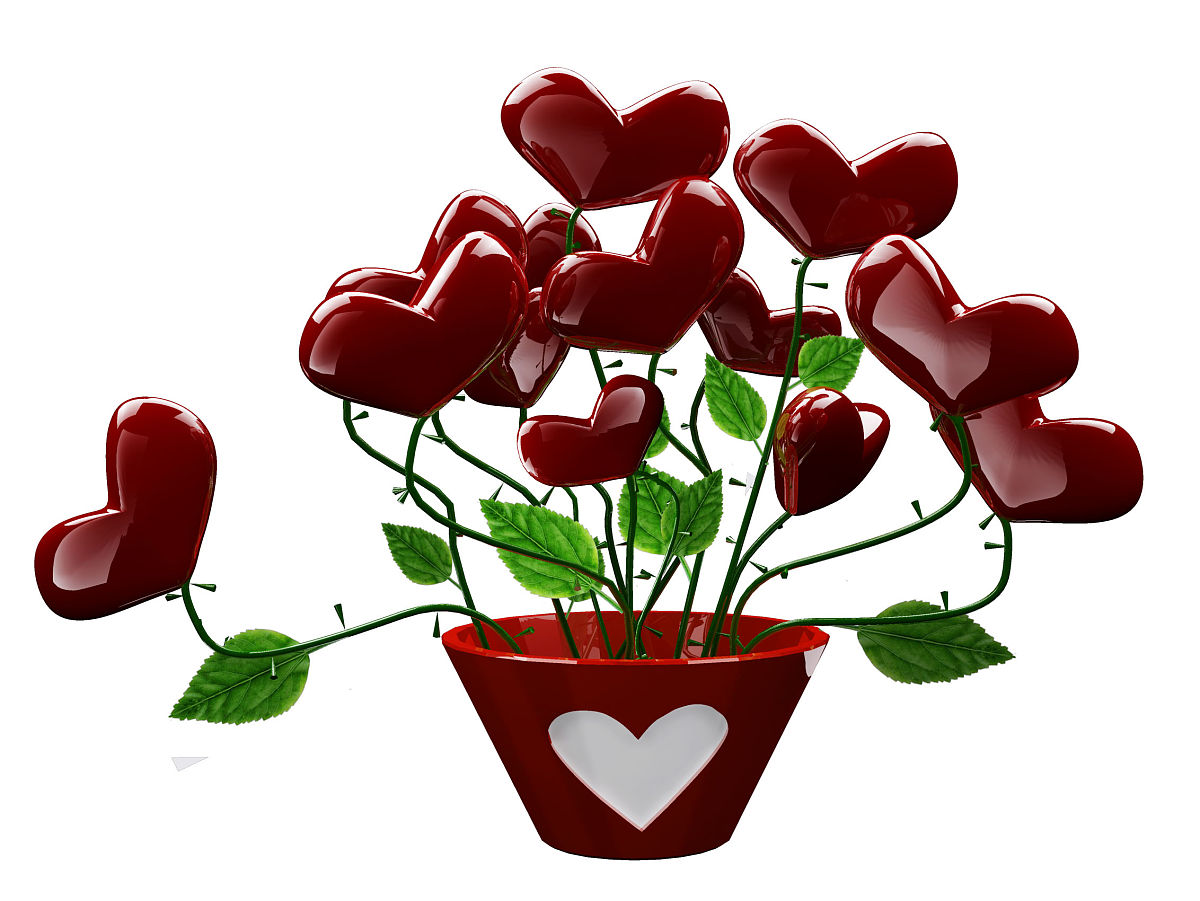 南充多扶学校2020招生简章