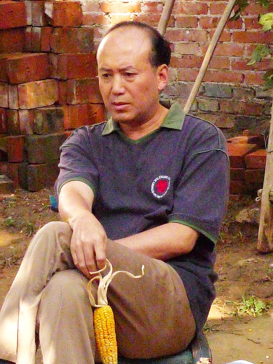 龚琳娜的歌曲忐忑歌词