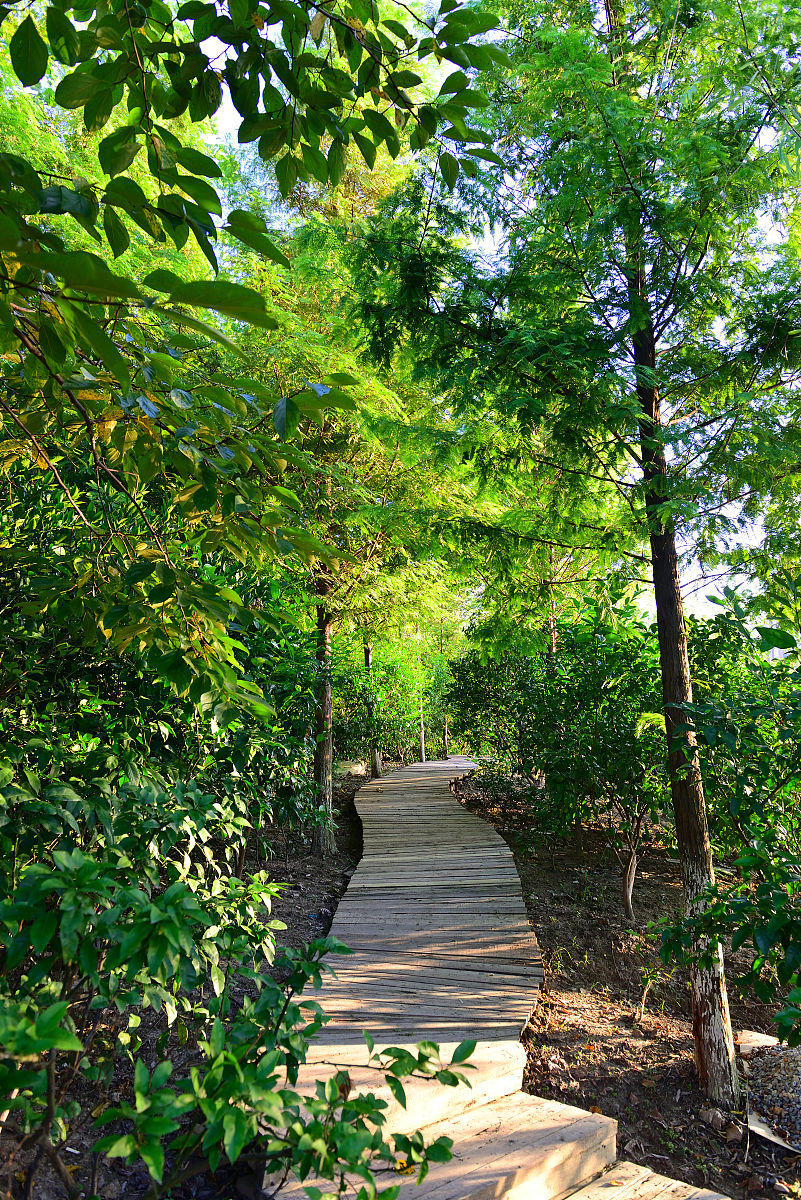 江苏省太仓中等专业学校环境照片环境怎么样