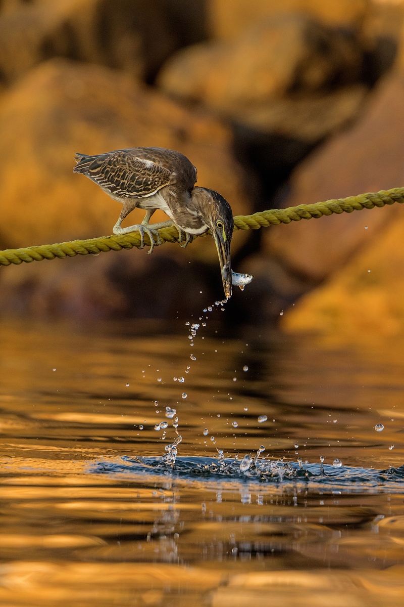滁州市信息工程学校2021年多少分能报考