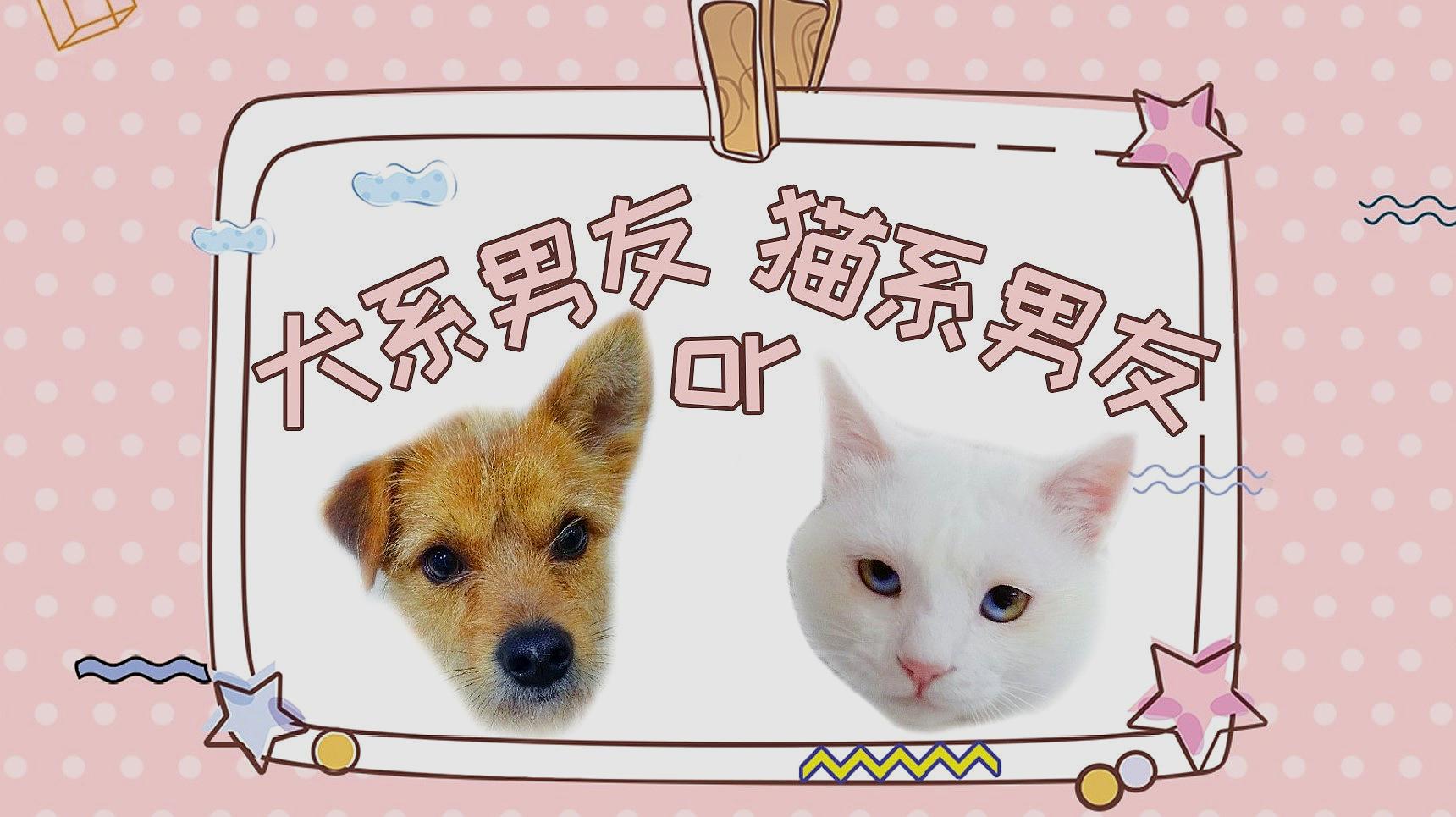 [图]七夕又是一个人过?犬系男友&猫系男友来陪你,你更爱哪一个?