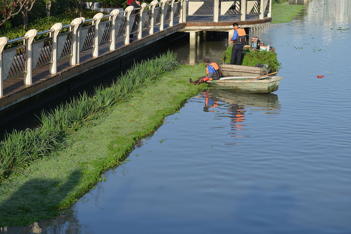 河长制：加强河流保护和治理的有效制度