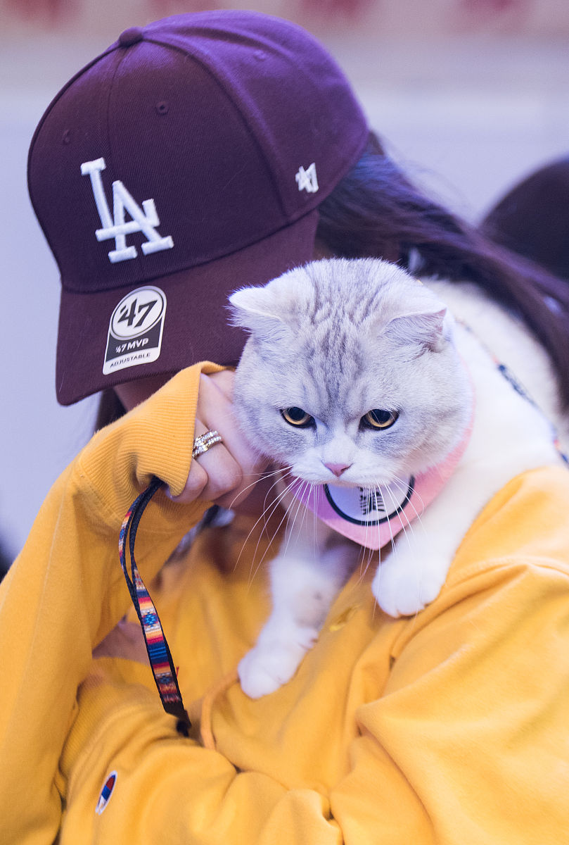 宠物葬礼用品：为爱宠送行，选择合适的骨灰盒和纪念品