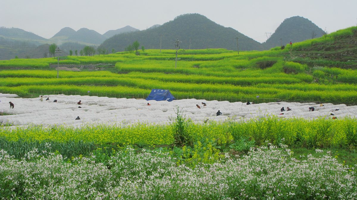 贵州民族大学中专部的乘车路线